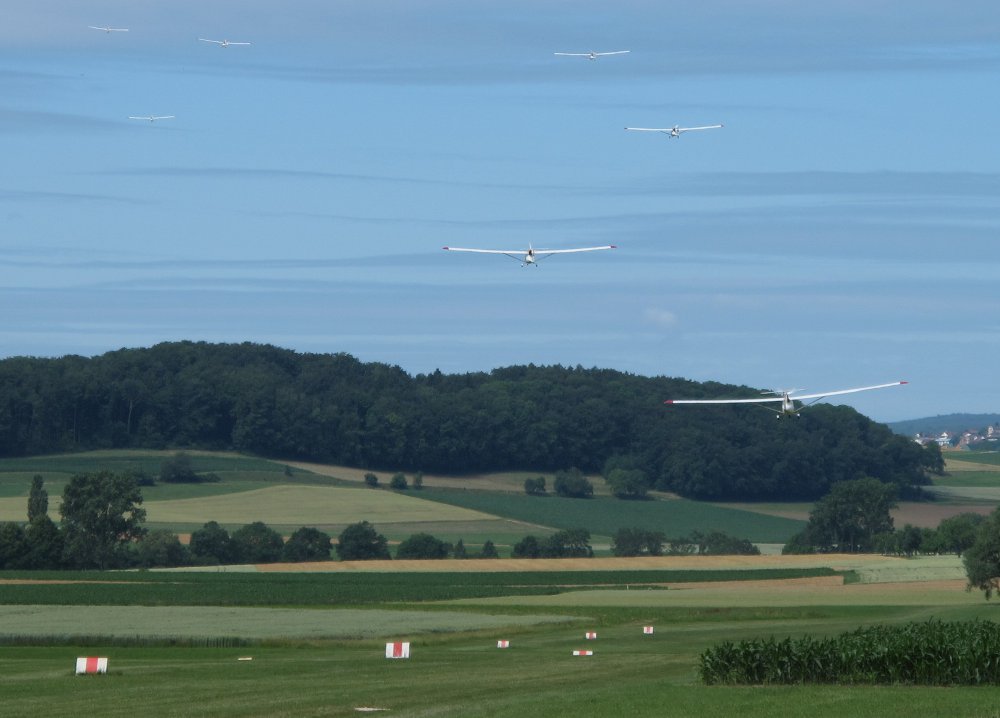 Bild einer abfliegenden Formation von Piccolos